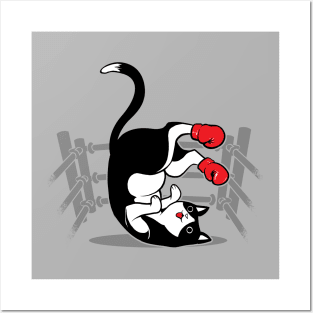 Boxer Cat Posters and Art